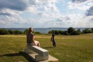 Sitzgelegenheit mit direktem Blick auf die Ostsee auf der Hundewiese
