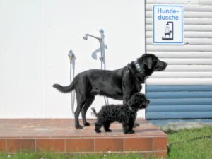 Hundedusche hinter dem Neuen Waschhaus gegnüber vom Kiosk