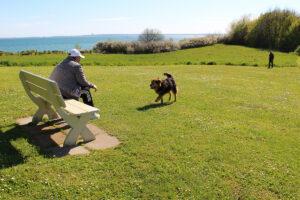 Die Hundewiese neben der Zeltwiese mit Blick auf die Ostsee und Abgrenzung durch die Hecke