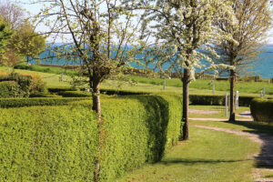 Heckengrenzen der Platzzellen und Fußwege entlang der idyllischen Panoramastellplätze und Zeltiwese